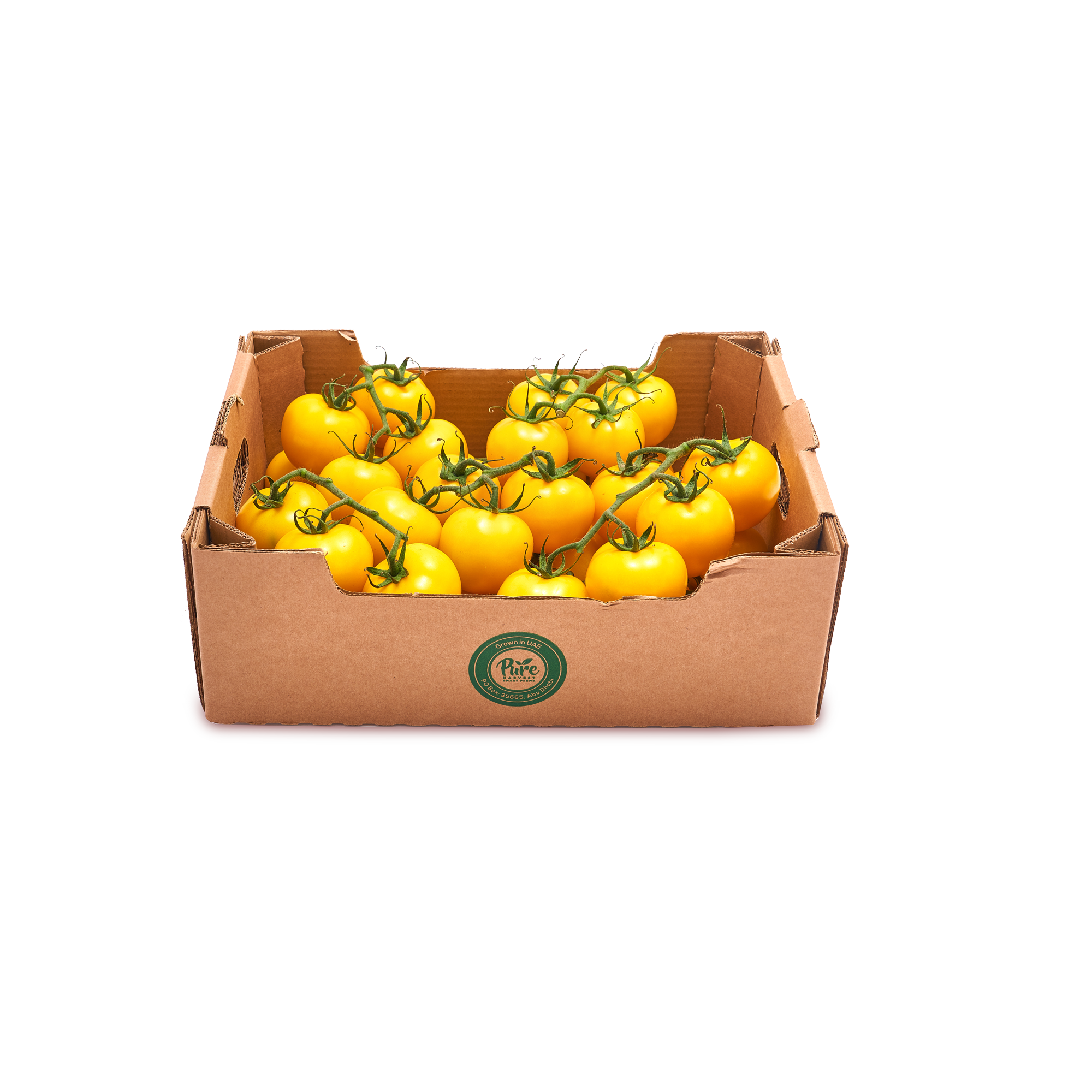 Yellow Tomatoes on-the-vine